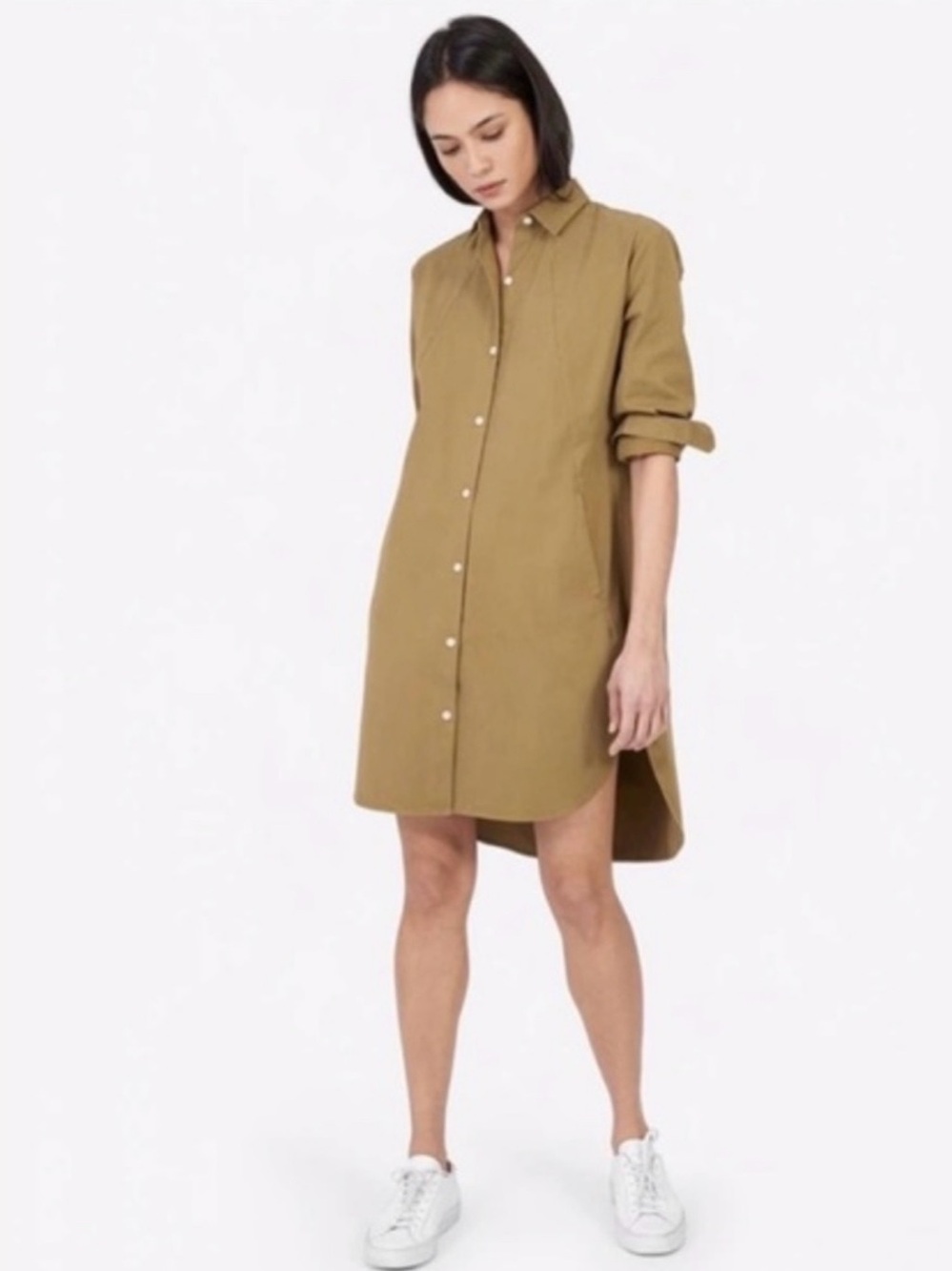 Everlane Khaki Collared Button Front Dress Size 2